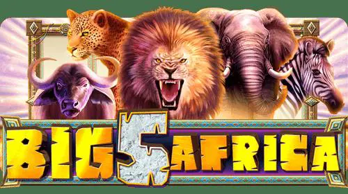 Big 5 Africa - Spin City - Congo